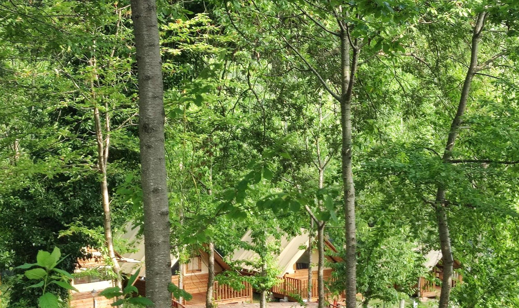 Saecula Natural Village Experience Форче Экстерьер фото